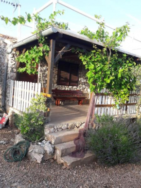 Magunja, Nevidane